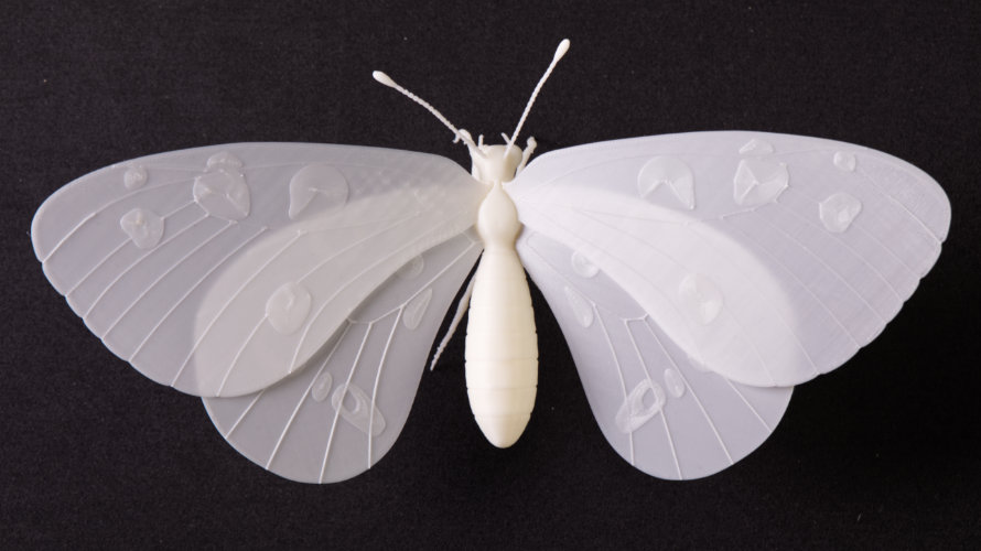 Farfalla Apollo 2_ST 890x500